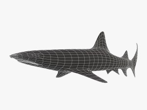 sharks collection 3D Model