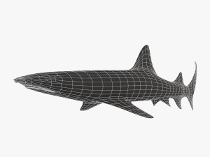 sharks collection 3D Model