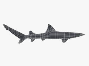 sharks collection 3D Model