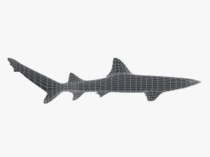 sharks collection 3D Model