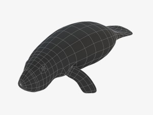 west indian manatee 3D Model
