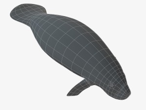 west indian manatee 3D Model