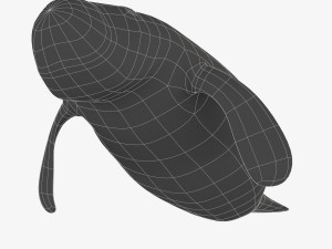 west indian manatee 3D Model