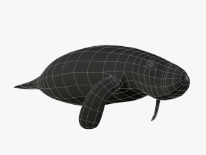 west indian manatee 3D Model