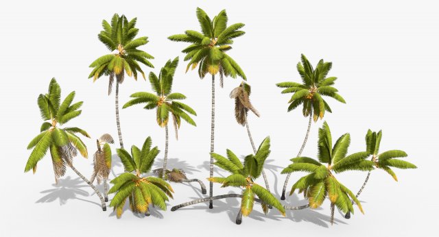 coconut palm trees asset 1 Modèle 3D .c4d .max .obj .3ds .fbx .stl .blend 