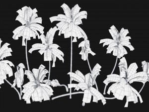 coconut palm trees asset 1 Modèle 3D