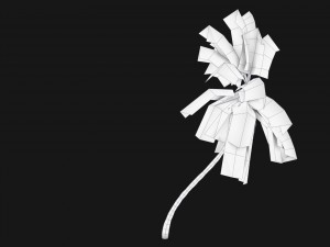 coconut palm trees asset 1 Modèle 3D