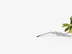 coconut palm trees asset 1 Modèle 3D