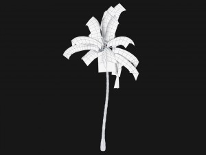 coconut palm trees asset 1 Modèle 3D