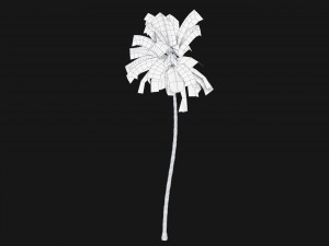 coconut palm trees asset 1 Modèle 3D