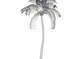 coconut palm tree med poly 3D Model