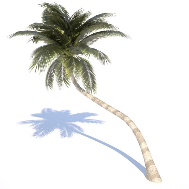 coconut palm tree  02 med poly 3D Model .c4d .max .obj .3ds .fbx .stl .blend 