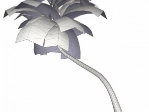 coconut palm tree  02 med poly 3D Model
