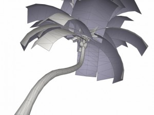coconut palm tree  02 med poly 3D Model