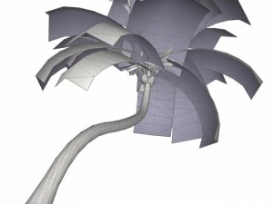 coconut palm tree  02 med poly 3D Model