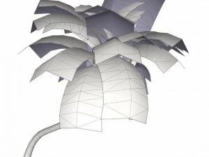 coconut palm tree  02 med poly 3D Model