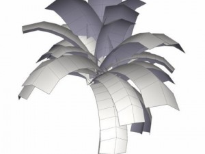 coconut palm tree  03 med poly 3D Model