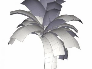 coconut palm tree  03 med poly 3D Model