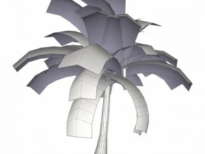 coconut palm tree  03 med poly 3D Model