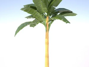 Bananenbaum Low Poly 3D Modell