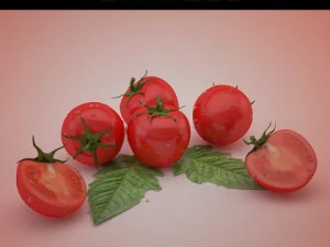 помідори 3D Модель