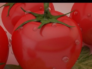 tomatoes Modèle 3D