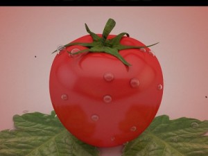tomato 3D मॉडल