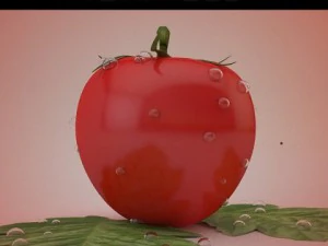 tomato 3D Model