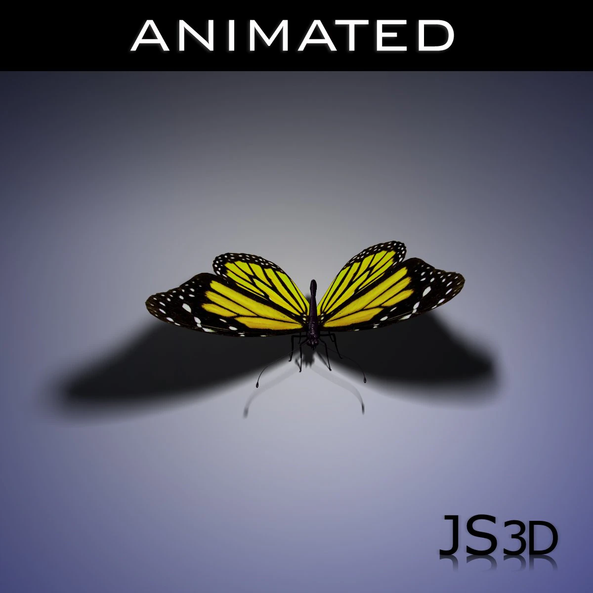 butterfly animated 3D Model .c4d .max .obj .3ds .fbx .stl .blend 