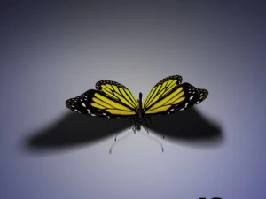 бабочка анимированная 3D Модель