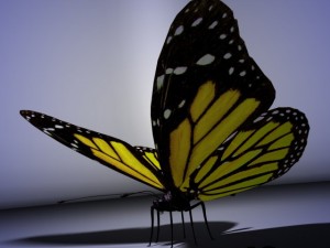butterfly animated Modello 3D