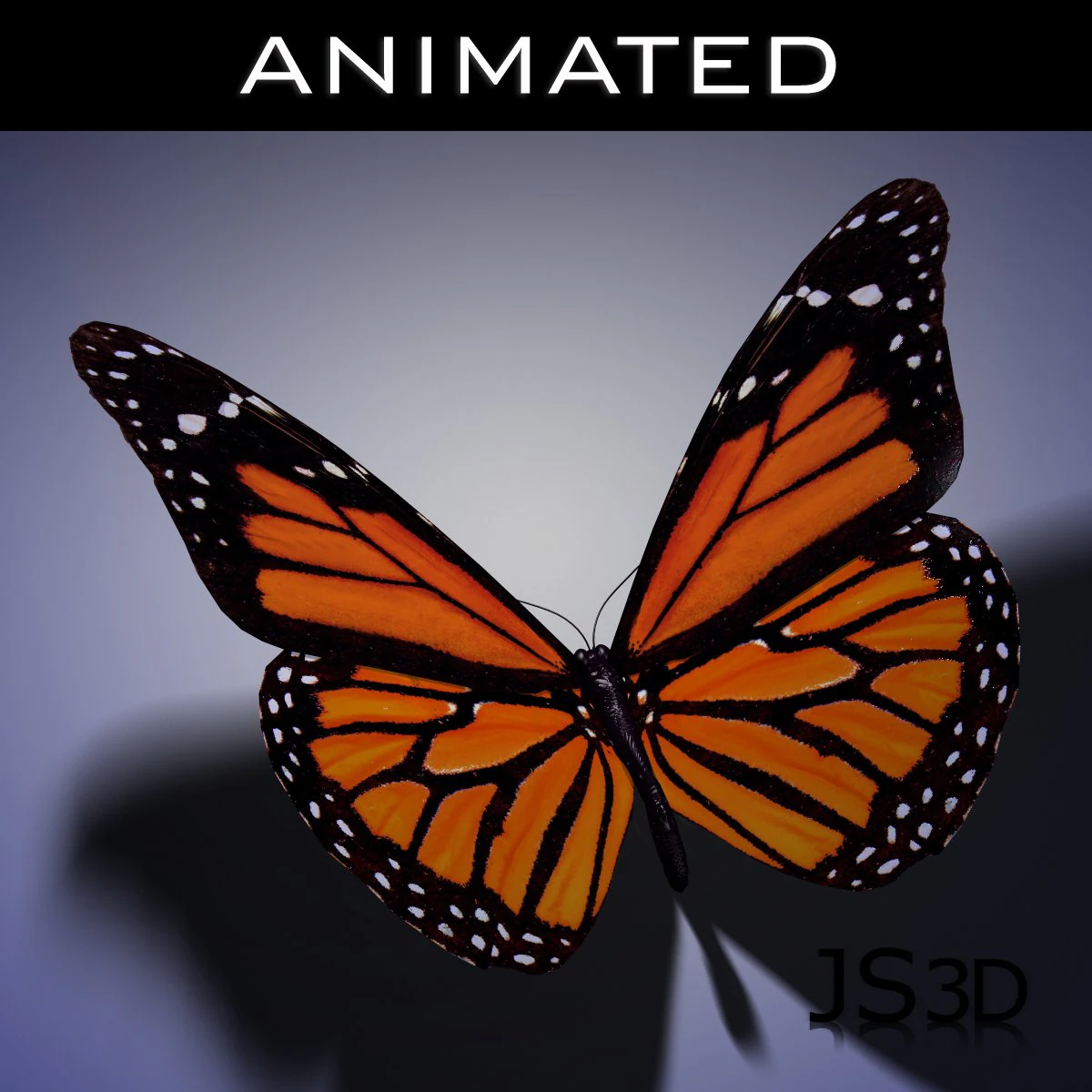 butterfly animated 3D Model .c4d .max .obj .3ds .fbx .stl .blend 