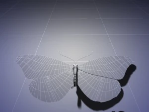 butterfly animated 3D Model