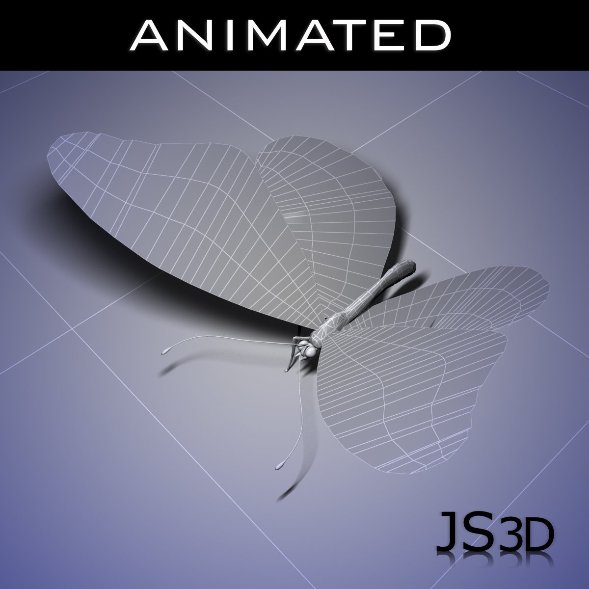 butterfly animated 3D Model in Insects 3DExport