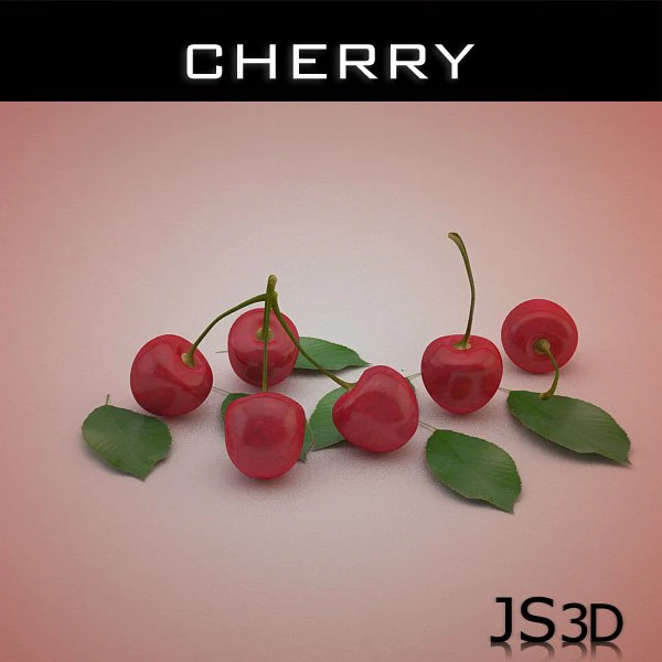 cherry 3D Model .c4d .max .obj .3ds .fbx .stl .blend