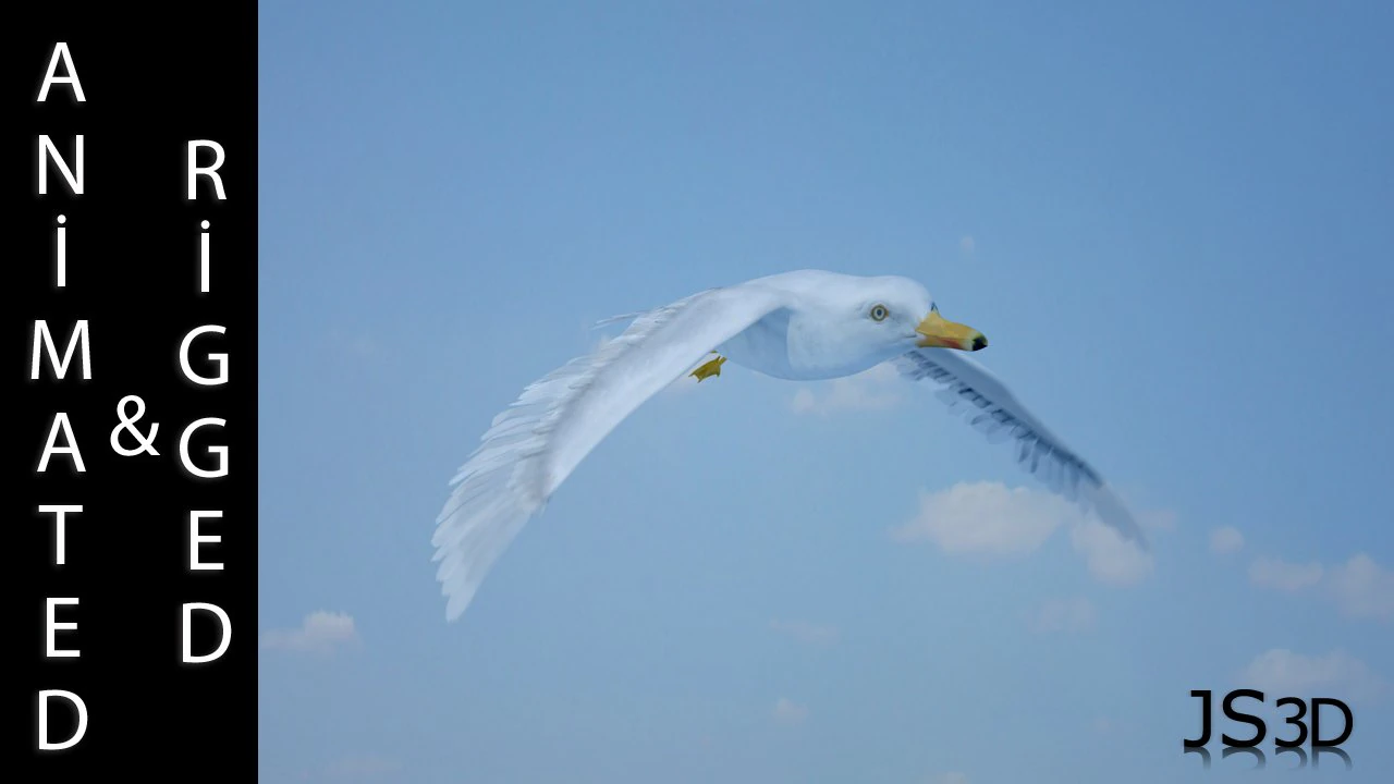 seagull  rigged  animated  loop 3D Model .c4d .max .obj .3ds .fbx .stl .blend 