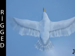 seagull  rigged  animated  loop 3D Model