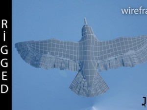 seagull  rigged  animated  loop 3D 模型