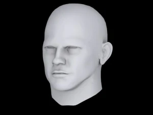 head 3D Model