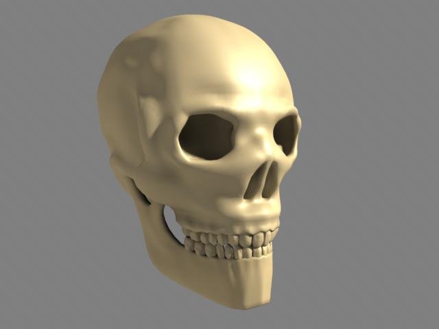 human skull 3D Модель .c4d .max .obj .3ds .fbx .stl .blend 