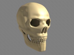 human skull Model 3D