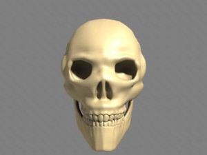 human skull 3D Модель