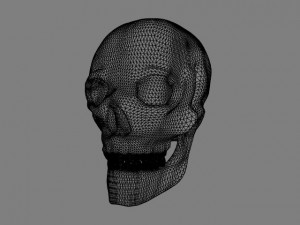 human skull 3D Модель