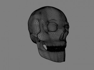 human skull 3D Модель