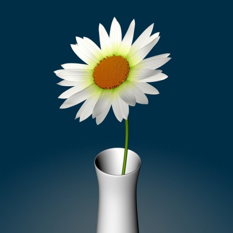 daisydetail and rough Modello 3D .c4d .max .obj .3ds .fbx .stl .blend 