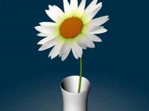daisydetail and rough Modello 3D