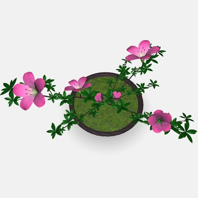 japan azalea pot 3D Model .c4d .max .obj .3ds .fbx .stl .blend 