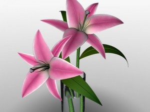 lily Modello 3D