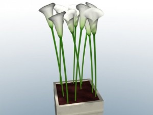 calla Modelo 3D