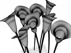 calla Modelo 3D